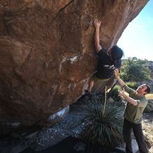 

Filename: SRM_20260208_1532570.jpg
Aperture: f/6.3
Shutter Speed: 1/500
Body: Canon EOS R6
Lens: Canon EF 16-35mm f/2.8 L