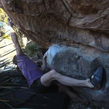 

Filename: SRM_20260208_1536460.jpg
Aperture: f/6.3
Shutter Speed: 1/500
Body: Canon EOS R6
Lens: Canon EF 16-35mm f/2.8 L