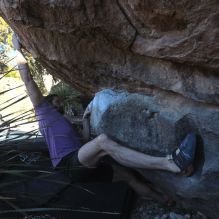 

Filename: SRM_20260208_1536461.jpg
Aperture: f/6.3
Shutter Speed: 1/500
Body: Canon EOS R6
Lens: Canon EF 16-35mm f/2.8 L