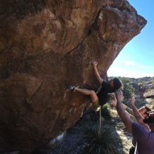 

Filename: SRM_20260208_1540280.jpg
Aperture: f/6.3
Shutter Speed: 1/500
Body: Canon EOS R6
Lens: Canon EF 16-35mm f/2.8 L