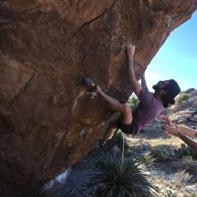 

Filename: SRM_20260208_1542590.jpg
Aperture: f/6.3
Shutter Speed: 1/500
Body: Canon EOS R6
Lens: Canon EF 16-35mm f/2.8 L