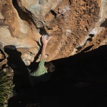 

Filename: SRM_20260208_1622480.jpg
Aperture: f/6.3
Shutter Speed: 1/500
Body: Canon EOS R6
Lens: Canon EF 16-35mm f/2.8 L