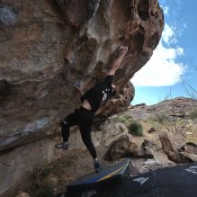 

Filename: SRM_20260307_1007020.jpg
Aperture: f/5.6
Shutter Speed: 1/500
Body: Canon EOS R6
Lens: Canon EF 16-35mm f/2.8 L