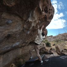 

Filename: SRM_20260307_1008091.jpg
Aperture: f/5.6
Shutter Speed: 1/500
Body: Canon EOS R6
Lens: Canon EF 16-35mm f/2.8 L