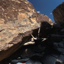 

Filename: SRM_20260307_1102350.jpg
Aperture: f/5.6
Shutter Speed: 1/500
Body: Canon EOS R6
Lens: Canon EF 16-35mm f/2.8 L