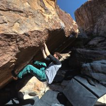 

Filename: SRM_20260307_1107050.jpg
Aperture: f/5.6
Shutter Speed: 1/500
Body: Canon EOS R6
Lens: Canon EF 16-35mm f/2.8 L