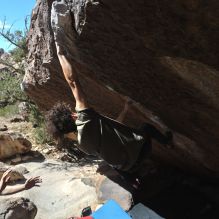 

Filename: SRM_20260307_1149350.jpg
Aperture: f/5.6
Shutter Speed: 1/500
Body: Canon EOS R6
Lens: Canon EF 16-35mm f/2.8 L