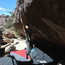 

Filename: SRM_20260307_1149361.jpg
Aperture: f/5.6
Shutter Speed: 1/500
Body: Canon EOS R6
Lens: Canon EF 16-35mm f/2.8 L