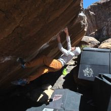 

Filename: SRM_20260307_1153250.jpg
Aperture: f/5.6
Shutter Speed: 1/500
Body: Canon EOS R6
Lens: Canon EF 16-35mm f/2.8 L