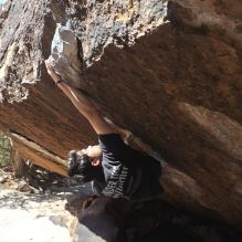 

Filename: SRM_20260307_1204580.jpg
Aperture: f/5.6
Shutter Speed: 1/500
Body: Canon EOS R6
Lens: Canon EF 16-35mm f/2.8 L