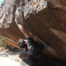 

Filename: SRM_20260307_1204581.jpg
Aperture: f/5.6
Shutter Speed: 1/500
Body: Canon EOS R6
Lens: Canon EF 16-35mm f/2.8 L