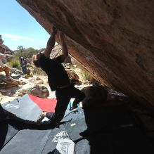 

Filename: SRM_20260307_1214090.jpg
Aperture: f/5.6
Shutter Speed: 1/500
Body: Canon EOS R6
Lens: Canon EF 16-35mm f/2.8 L