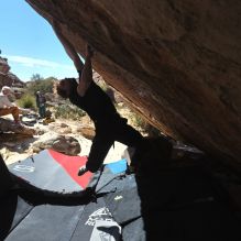 

Filename: SRM_20260307_1214100.jpg
Aperture: f/5.6
Shutter Speed: 1/500
Body: Canon EOS R6
Lens: Canon EF 16-35mm f/2.8 L