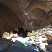 

Filename: SRM_20260307_1239271.jpg
Aperture: f/5.6
Shutter Speed: 1/500
Body: Canon EOS R6
Lens: Canon EF 16-35mm f/2.8 L