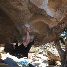 

Filename: SRM_20260307_1239380.jpg
Aperture: f/5.6
Shutter Speed: 1/500
Body: Canon EOS R6
Lens: Canon EF 16-35mm f/2.8 L