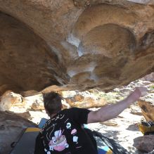 

Filename: SRM_20260307_1240400.jpg
Aperture: f/5.6
Shutter Speed: 1/500
Body: Canon EOS R6
Lens: Canon EF 16-35mm f/2.8 L