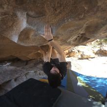 

Filename: SRM_20260307_1301040.jpg
Aperture: f/5.0
Shutter Speed: 1/500
Body: Canon EOS R6
Lens: Canon EF 16-35mm f/2.8 L