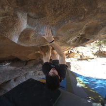 

Filename: SRM_20260307_1301041.jpg
Aperture: f/5.0
Shutter Speed: 1/500
Body: Canon EOS R6
Lens: Canon EF 16-35mm f/2.8 L