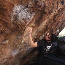 Filename: SRM_20260307_1359500.jpg
Aperture: f/4.0
Shutter Speed: 1/400
Body: Canon EOS R6
Lens: Canon EF 16-35mm f/2.8 L