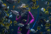 A diver feeds some fish and sting rays at Sea World, San Antonio.

Filename: SRM_20060423_121004_6.jpg
Aperture: f/2.8
Shutter Speed: 1/125
Body: Canon EOS 20D
Lens: Canon EF 80-200mm f/2.8 L