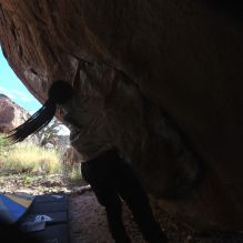 

Filename: SRM_20260307_1641240.jpg
Aperture: f/5.6
Shutter Speed: 1/400
Body: Canon EOS R6
Lens: Canon EF 16-35mm f/2.8 L