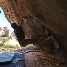 Filename: SRM_20260307_1655320.jpg
Aperture: f/5.6
Shutter Speed: 1/400
Body: Canon EOS R6
Lens: Canon EF 16-35mm f/2.8 L