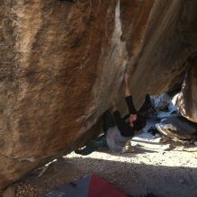 Filename: SRM_20260307_1701580.jpg
Aperture: f/5.6
Shutter Speed: 1/400
Body: Canon EOS R6
Lens: Canon EF 16-35mm f/2.8 L