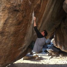 Filename: SRM_20260307_1702080.jpg
Aperture: f/5.6
Shutter Speed: 1/400
Body: Canon EOS R6
Lens: Canon EF 16-35mm f/2.8 L