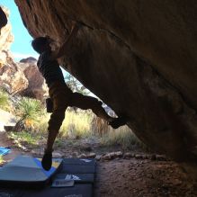 Filename: SRM_20260307_1710100.jpg
Aperture: f/5.6
Shutter Speed: 1/400
Body: Canon EOS R6
Lens: Canon EF 16-35mm f/2.8 L