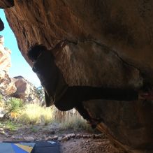 Filename: SRM_20260307_1713040.jpg
Aperture: f/5.6
Shutter Speed: 1/400
Body: Canon EOS R6
Lens: Canon EF 16-35mm f/2.8 L