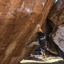 Filename: SRM_20260307_1715220.jpg
Aperture: f/5.6
Shutter Speed: 1/400
Body: Canon EOS R6
Lens: Canon EF 16-35mm f/2.8 L