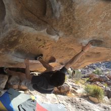 Filename: SRM_20260308_0847080.jpg
Aperture: f/5.6
Shutter Speed: 1/500
Body: Canon EOS R6
Lens: Canon EF 16-35mm f/2.8 L