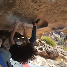 Filename: SRM_20260308_0853000.jpg
Aperture: f/5.6
Shutter Speed: 1/500
Body: Canon EOS R6
Lens: Canon EF 16-35mm f/2.8 L