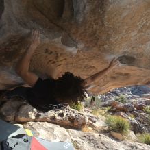 Filename: SRM_20260308_0853050.jpg
Aperture: f/5.6
Shutter Speed: 1/500
Body: Canon EOS R6
Lens: Canon EF 16-35mm f/2.8 L