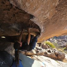 Filename: SRM_20260308_0855240.jpg
Aperture: f/5.6
Shutter Speed: 1/500
Body: Canon EOS R6
Lens: Canon EF 16-35mm f/2.8 L