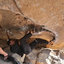 Filename: SRM_20260308_0856200.jpg
Aperture: f/5.6
Shutter Speed: 1/500
Body: Canon EOS R6
Lens: Canon EF 16-35mm f/2.8 L