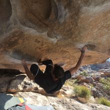 

Filename: SRM_20260308_0856430.jpg
Aperture: f/5.6
Shutter Speed: 1/500
Body: Canon EOS R6
Lens: Canon EF 16-35mm f/2.8 L