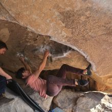 

Filename: SRM_20260308_0901470.jpg
Aperture: f/5.6
Shutter Speed: 1/500
Body: Canon EOS R6
Lens: Canon EF 16-35mm f/2.8 L