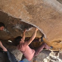 

Filename: SRM_20260308_0901490.jpg
Aperture: f/5.6
Shutter Speed: 1/500
Body: Canon EOS R6
Lens: Canon EF 16-35mm f/2.8 L