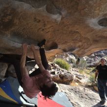 

Filename: SRM_20260308_0902070.jpg
Aperture: f/5.6
Shutter Speed: 1/500
Body: Canon EOS R6
Lens: Canon EF 16-35mm f/2.8 L