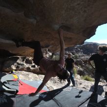 

Filename: SRM_20260308_0902130.jpg
Aperture: f/5.6
Shutter Speed: 1/500
Body: Canon EOS R6
Lens: Canon EF 16-35mm f/2.8 L