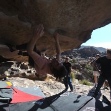 

Filename: SRM_20260308_0902132.jpg
Aperture: f/5.6
Shutter Speed: 1/500
Body: Canon EOS R6
Lens: Canon EF 16-35mm f/2.8 L