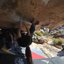 

Filename: SRM_20260308_0914080.jpg
Aperture: f/5.6
Shutter Speed: 1/500
Body: Canon EOS R6
Lens: Canon EF 16-35mm f/2.8 L