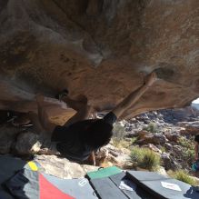 

Filename: SRM_20260308_0917430.jpg
Aperture: f/5.6
Shutter Speed: 1/500
Body: Canon EOS R6
Lens: Canon EF 16-35mm f/2.8 L