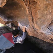 

Filename: SRM_20260328_1016371.jpg
Aperture: f/8.0
Shutter Speed: 1/1000
Body: Canon EOS R6
Lens: Canon EF 16-35mm f/2.8 L