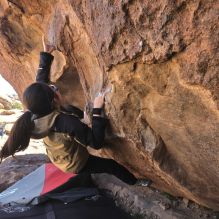 Filename: SRM_20260328_1039140.jpg
Aperture: f/8.0
Shutter Speed: 1/1000
Body: Canon EOS R6
Lens: Canon EF 16-35mm f/2.8 L