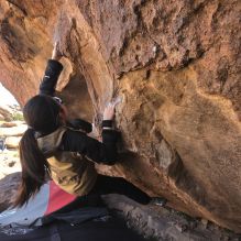 Filename: SRM_20260328_1039141.jpg
Aperture: f/8.0
Shutter Speed: 1/1000
Body: Canon EOS R6
Lens: Canon EF 16-35mm f/2.8 L