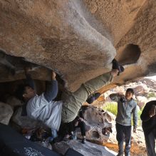 Filename: SRM_20260328_1120020.jpg
Aperture: f/8.0
Shutter Speed: 1/1000
Body: Canon EOS R6
Lens: Canon EF 16-35mm f/2.8 L