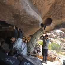 Filename: SRM_20260328_1120040.jpg
Aperture: f/8.0
Shutter Speed: 1/1000
Body: Canon EOS R6
Lens: Canon EF 16-35mm f/2.8 L