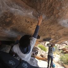 Filename: SRM_20260328_1120170.jpg
Aperture: f/8.0
Shutter Speed: 1/1000
Body: Canon EOS R6
Lens: Canon EF 16-35mm f/2.8 L